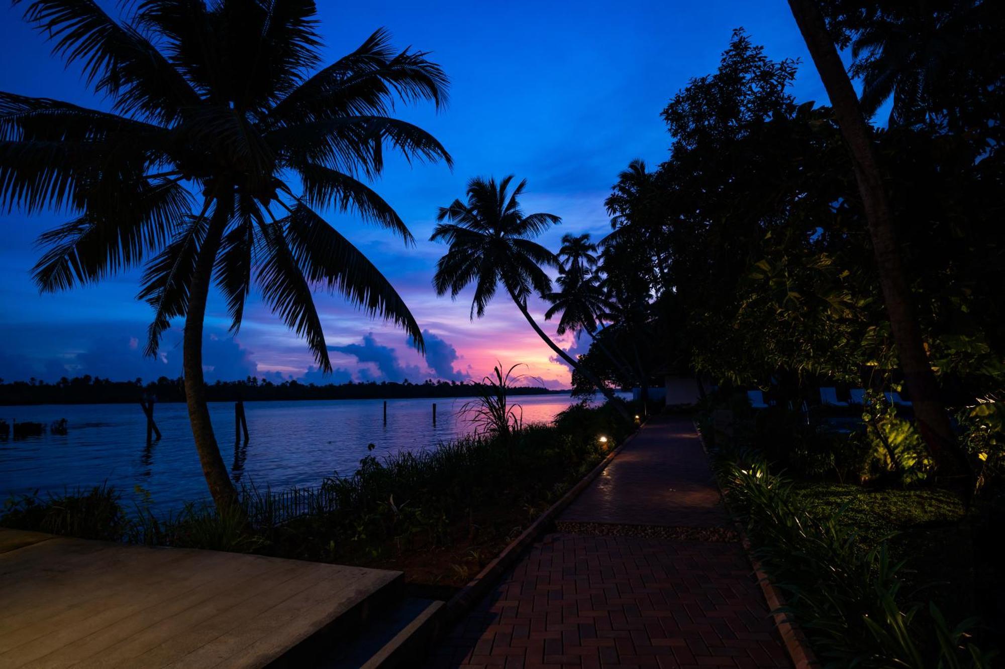 Vedic Village Retreat Kodungallur Kochi 외부 사진